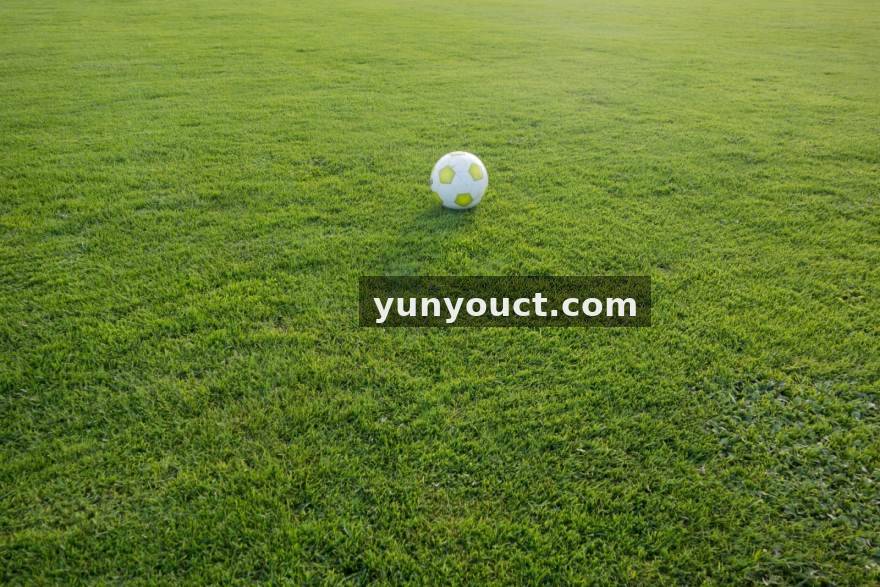 pgyouxi.comPG游戏 从报表堆到决策流：业务数据管理系统建设的前瞻路径分析
