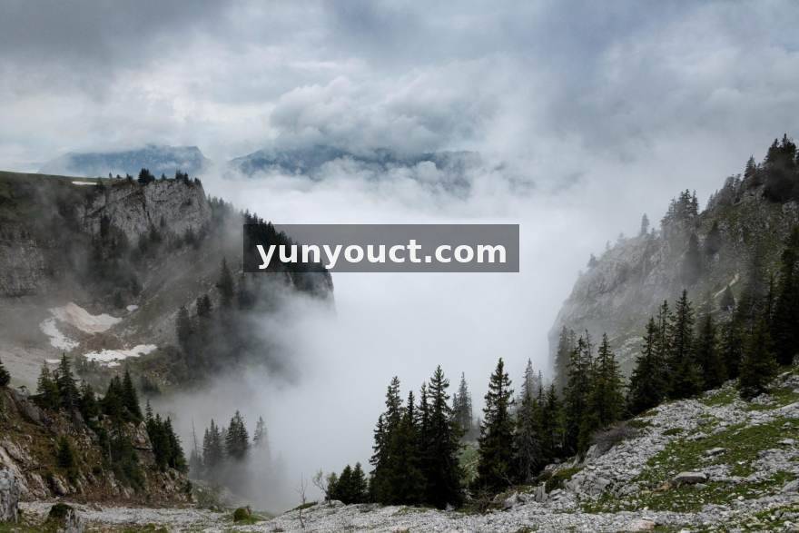 pgyouxi.comPG游戏零售门店经营分析场景